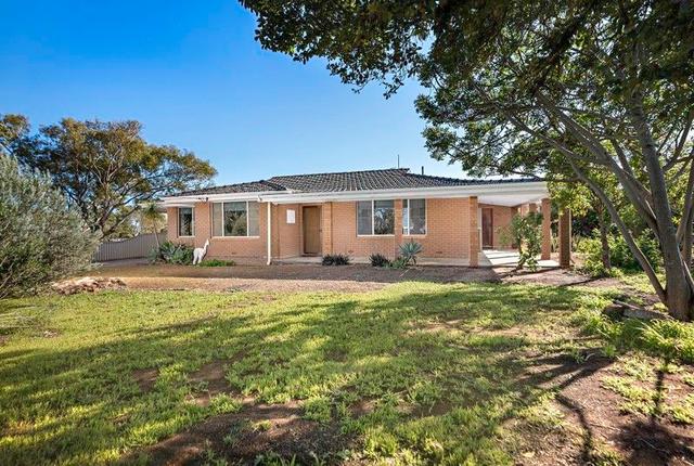 291 Chapman Valley Road, WA 6530