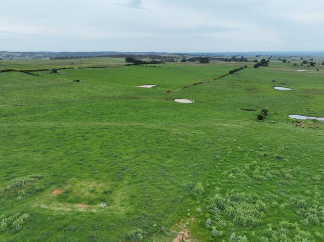 253 McAlister Road Laggan/, NSW 2583