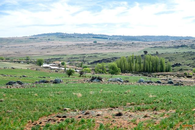 5512 The Snowy River Way, NSW 2628