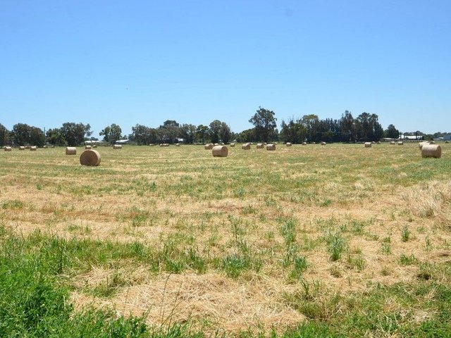 lot 165 Ninth Street, WA 6220