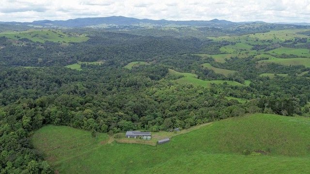 Lot 291 Palmerston Highway, QLD 4886