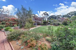 Garden (2019-10-16)