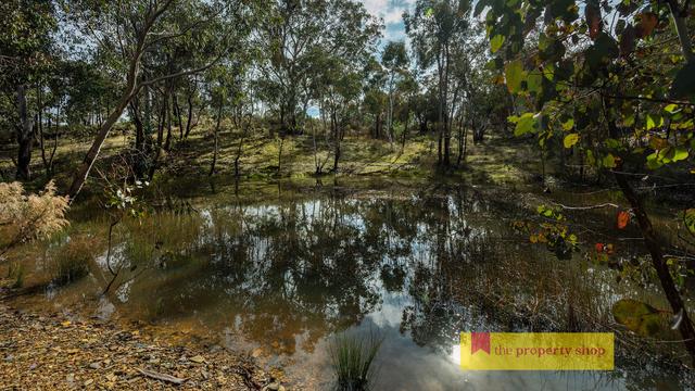 3361 Hill End Road, NSW 2850