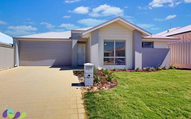 7 Shortboard Street, WA 6035