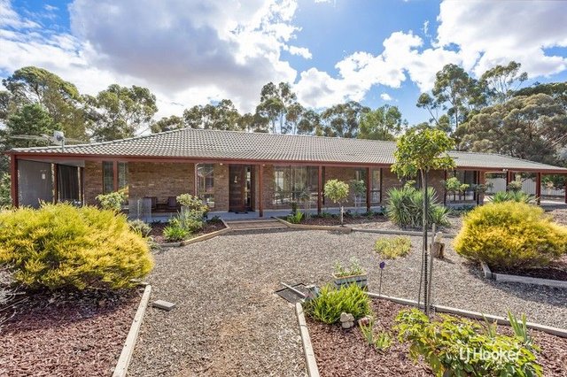 13 Wirramulla Road, SA 5501