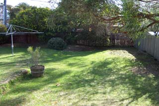 Rear garden