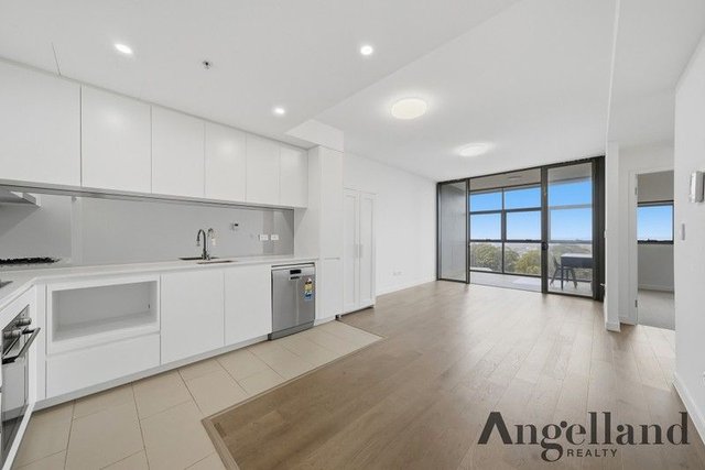 516/31 Treacy Street, NSW 2220