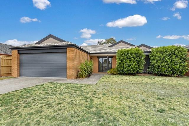 16 Arlene Drive, VIC 3977