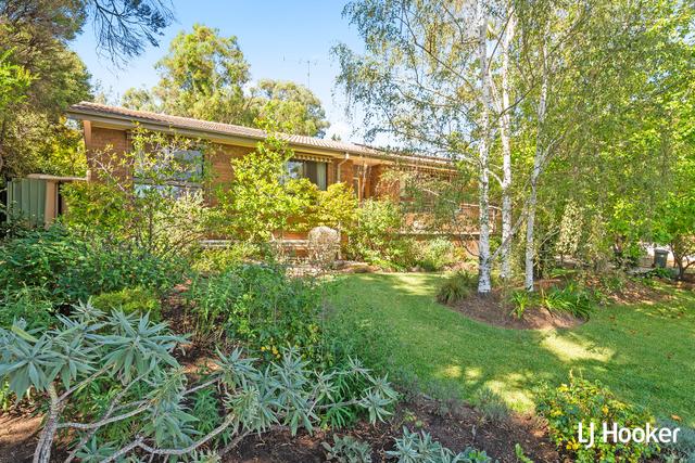 14 Nott Street, ACT 2615