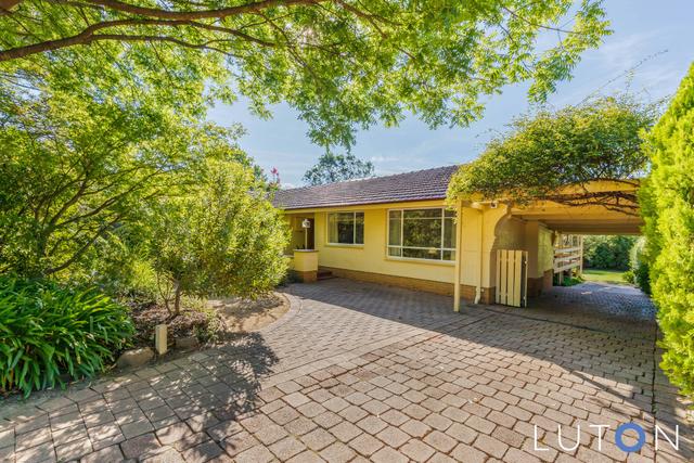20 Morehead Street, ACT 2605