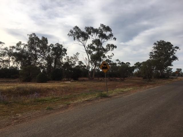 36 Barrier Highway, NSW 2831