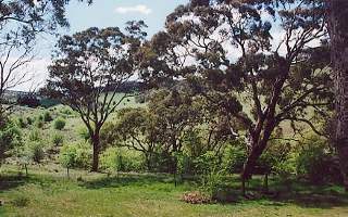 View (2001-11-02)