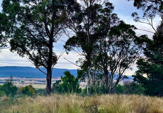 14 Crosby Street, TAS 7215