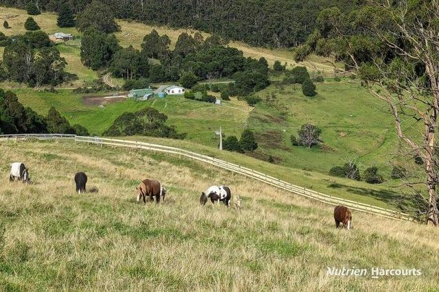482 Old Whitelaws Track, VIC 3971