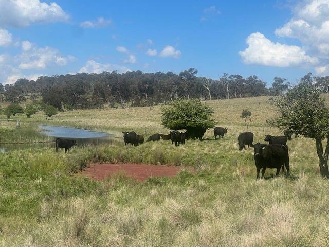 400 Bullock Mountain Road, NSW 2370