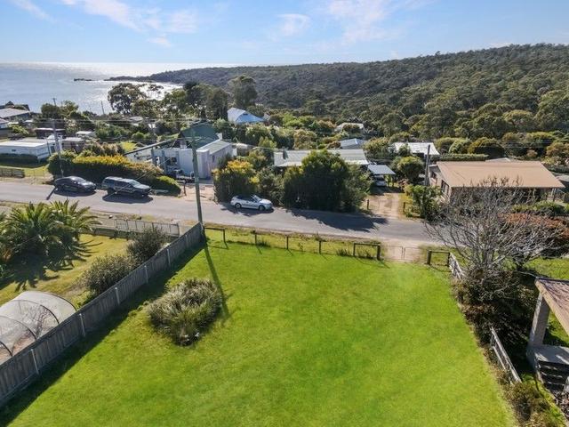 19 Felmingham Street, TAS 7216