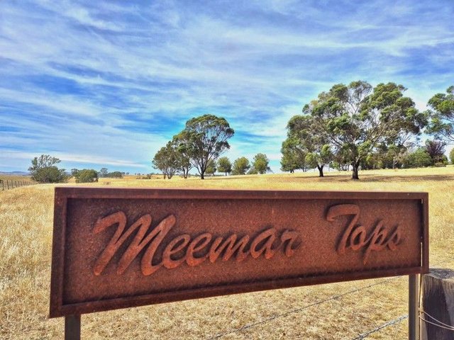 1196 Stockinbingal Rd, NSW 2590