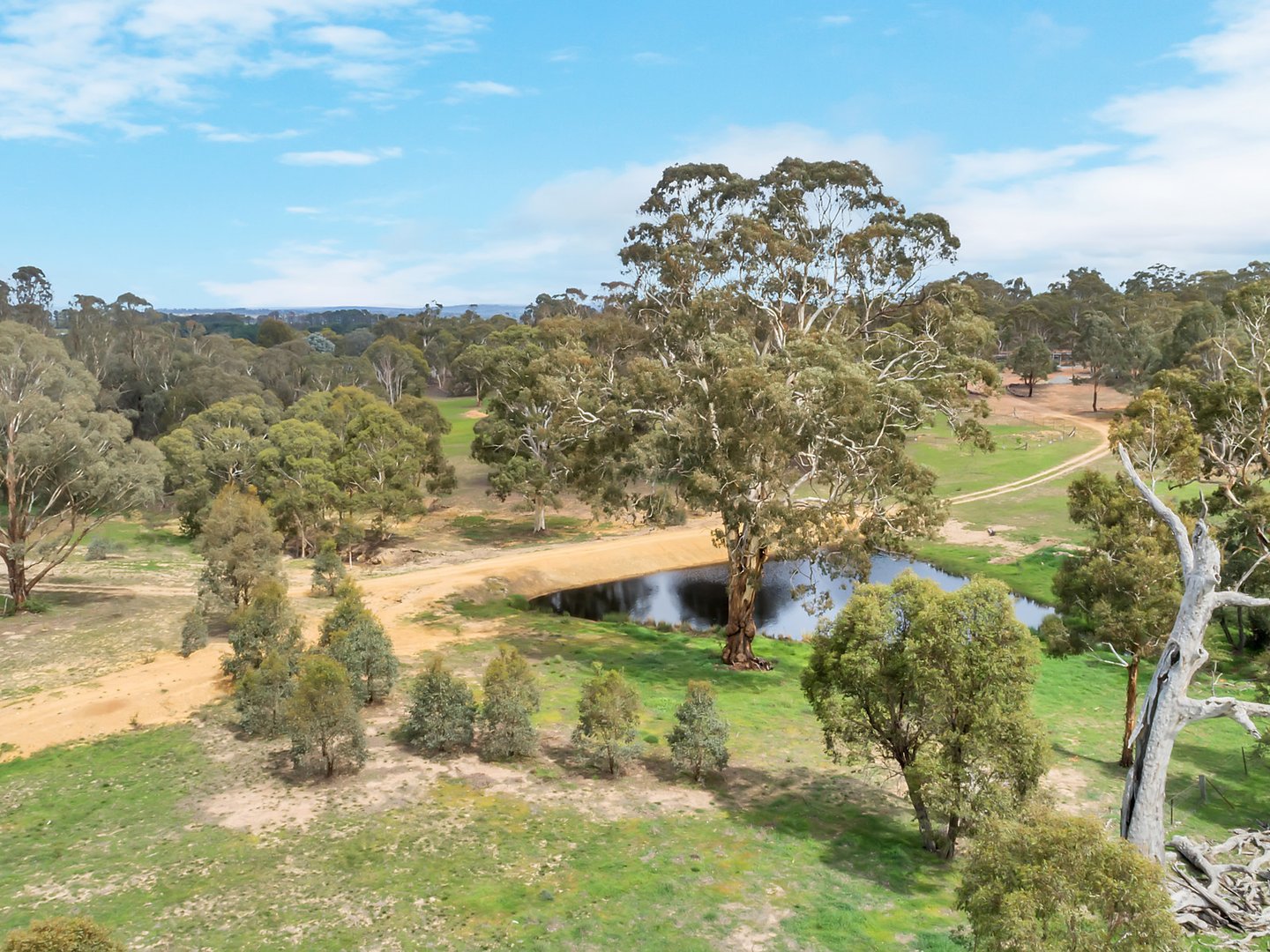 91 Marked Tree Road, Gundaroo NSW 2620 Land for Sale Allhomes