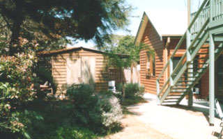 Backyard and shed
