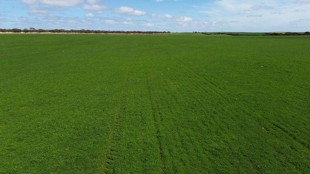 Lot 2 Palabie Road, SA 5652