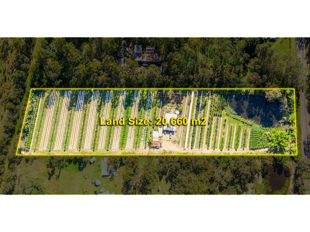 75-81 Wilson Road, QLD 4207