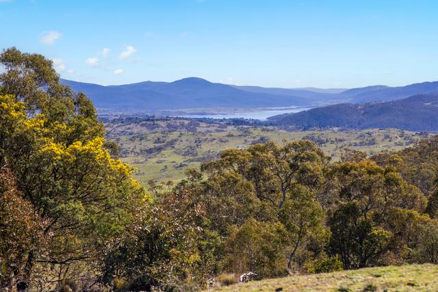 421 Old Settlers Road, NSW 2627