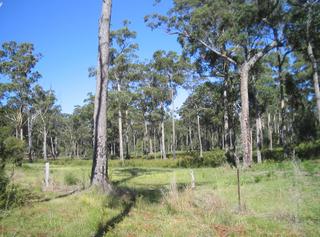 Land (2008-03-17)