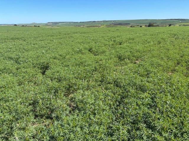 Lot 55 Ahern Place, WA 6532