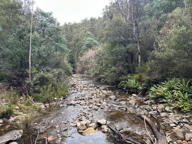 711 Judds Creek Road, TAS 7109