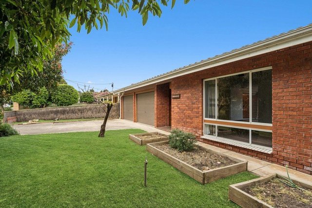 13 Randolph Avenue, SA 5063