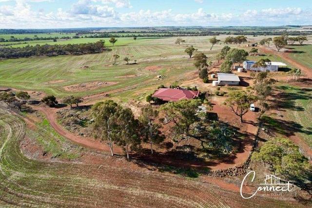 Haddrill Road, WA 6401