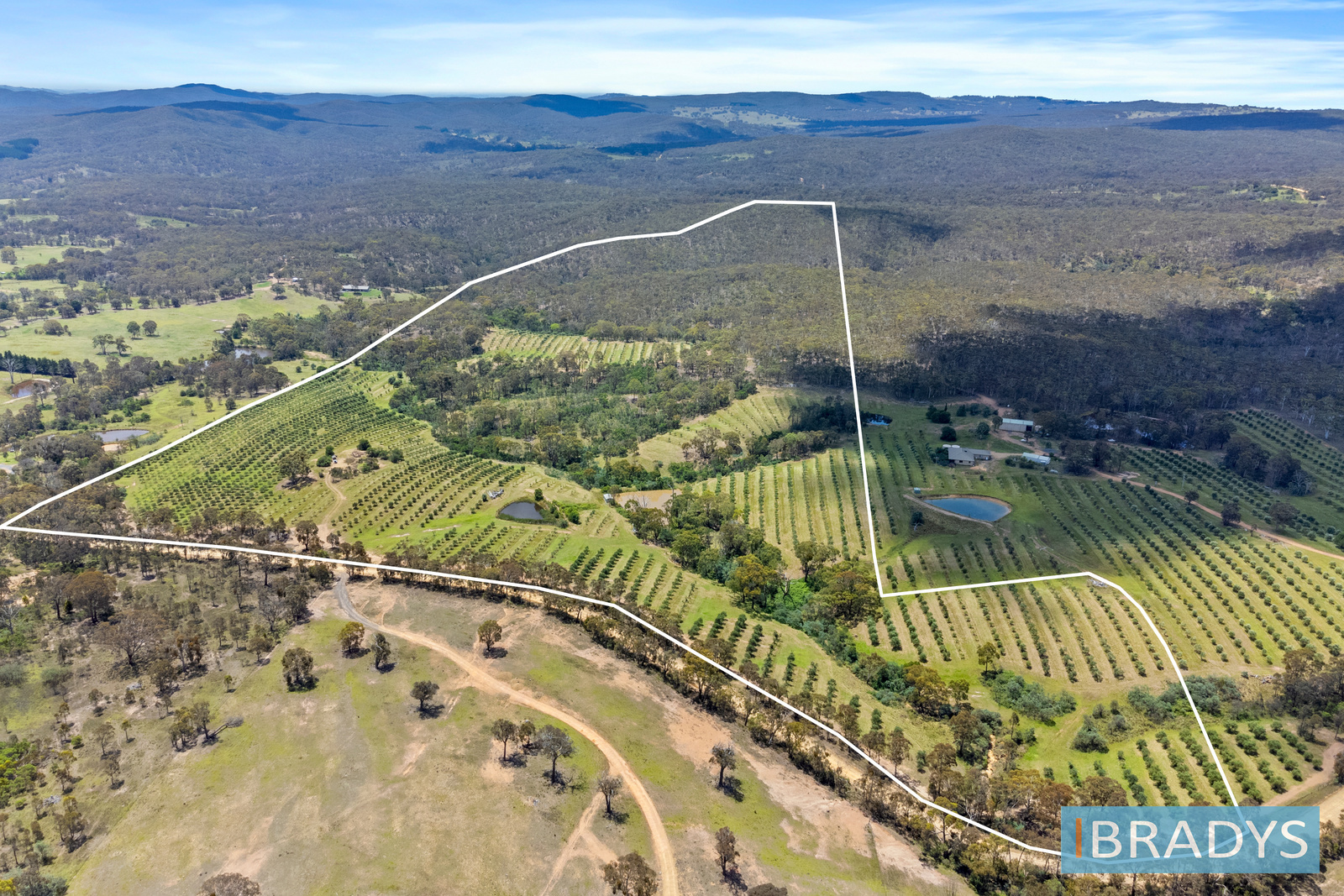 569 Marked Tree Road, Gundaroo NSW 2620 Allhomes