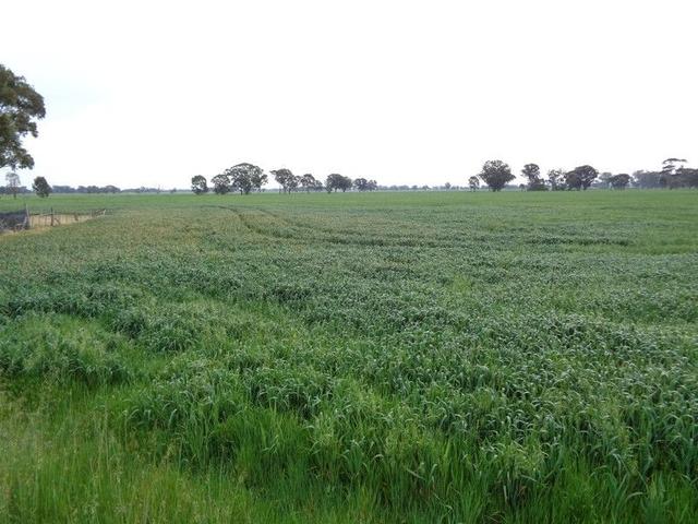 259 Geodetic  Road, VIC 3666