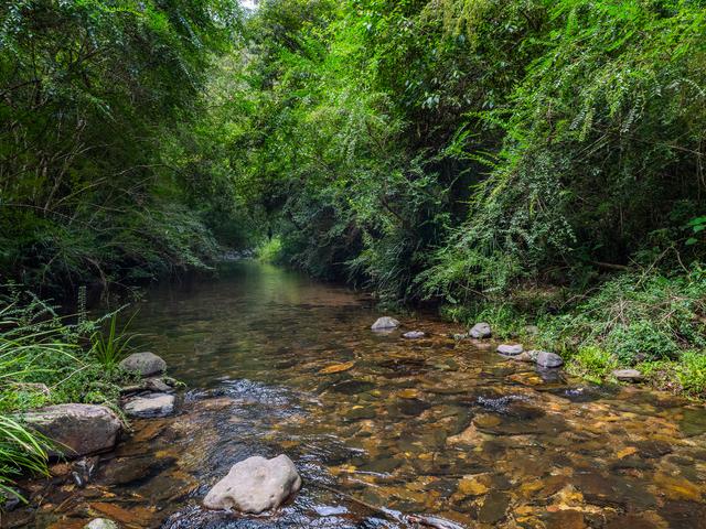 (no street name provided), NSW 2454