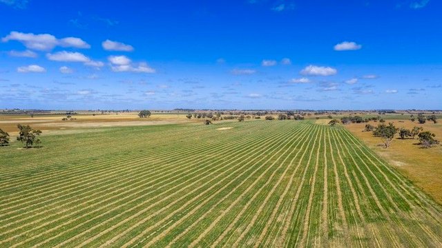 1695 Emu Flat Road, SA 5267