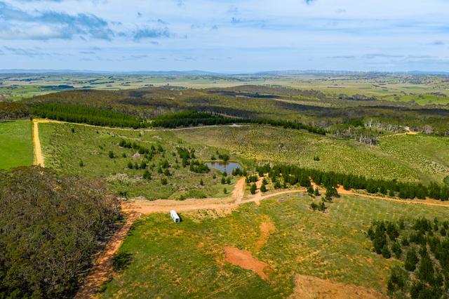 629 Mullins Creek Road, NSW 2581