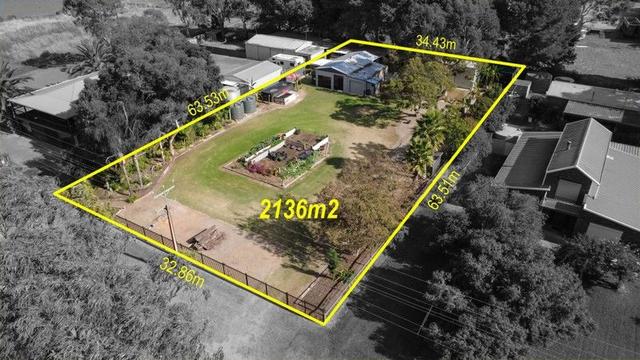 17 Tolmer Street, SA 5259