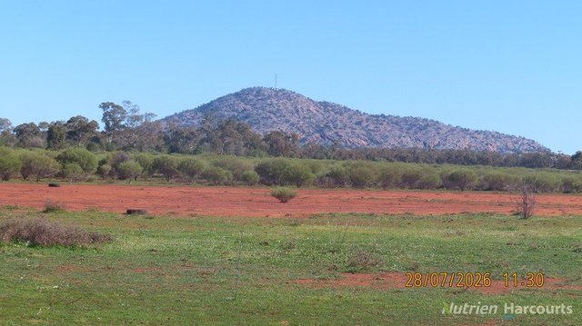 * Cooneybar Station, NSW 2835