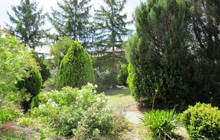 Frontyard