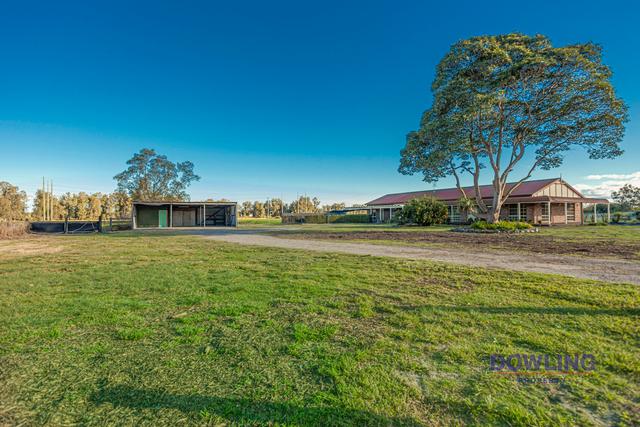 567 Cabbage Tree Road, NSW 2318