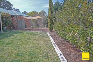 Backyard (2019-10-11)