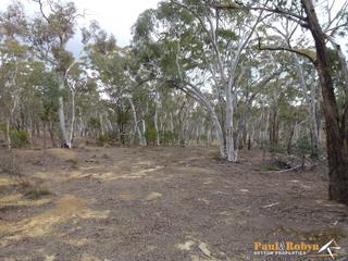 Bush (2013-06-20)