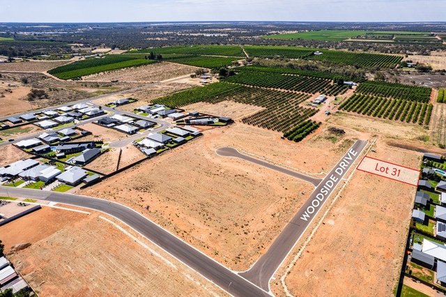 31/null Woodside Park Estate, NSW 2738