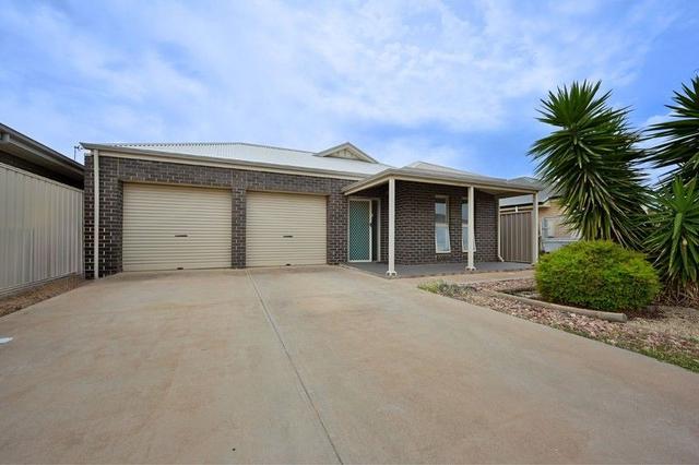 28 Jensen Avenue, SA 5609