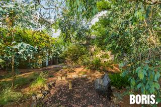 Native backyard sanctuary