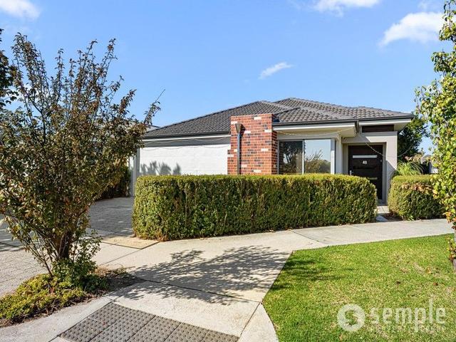 46 Doryanthes Avenue, WA 6112