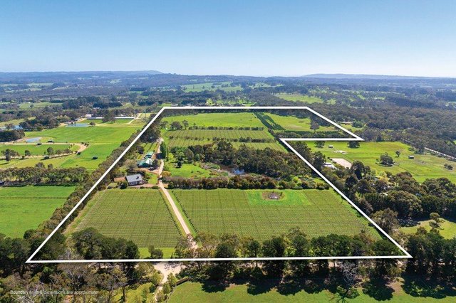 437 Stumpy Gully Road, VIC 3926