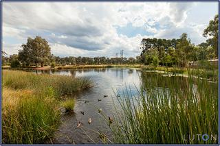 Nearby Pond