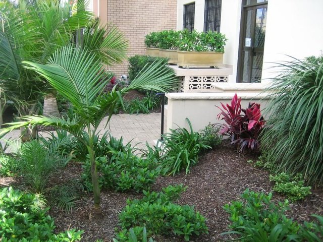 3/134 Redfern Street, NSW 2016