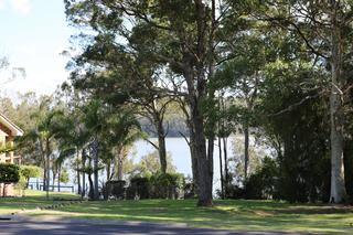 View from Deck